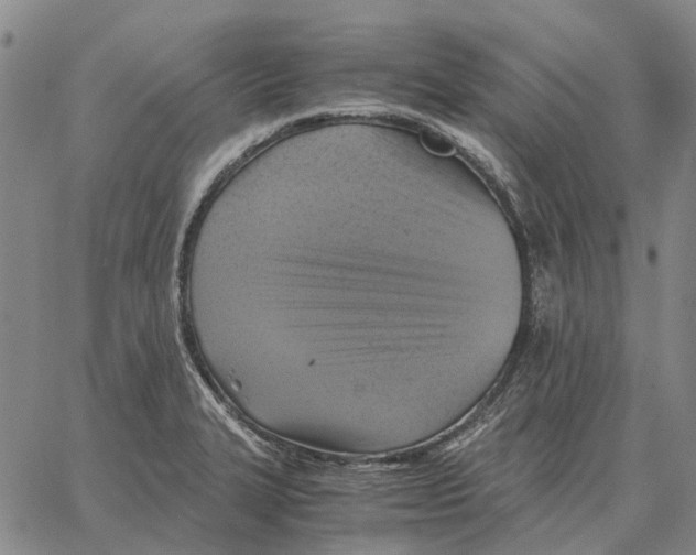 X0000062651327200601181800