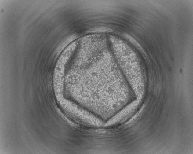 X0000062651329200601181800