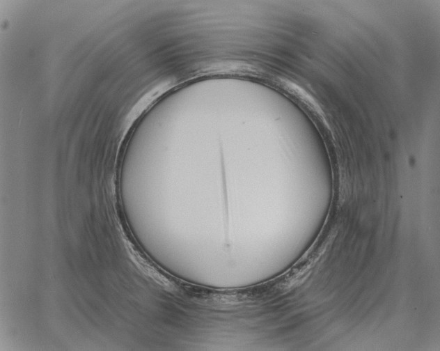 X0000062651330200601181800