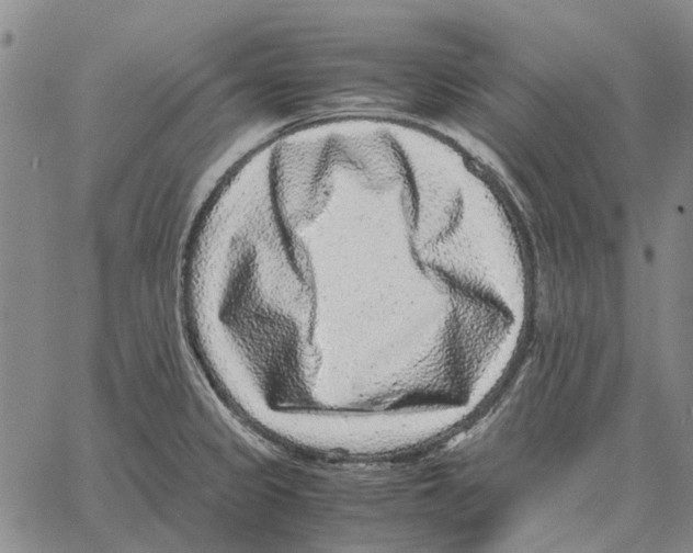 X0000062651333200601181800