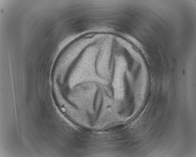 X0000062651335200601181800