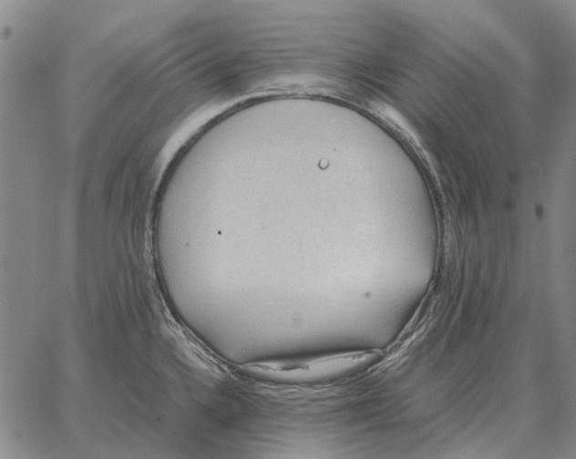 X0000062651336200601181800