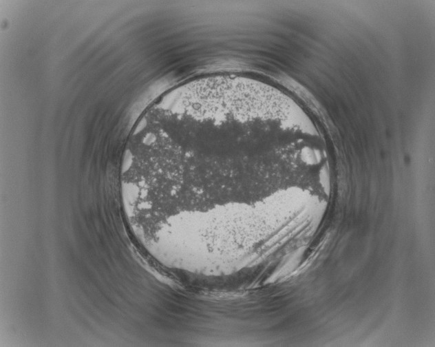 X0000062651337200601181800