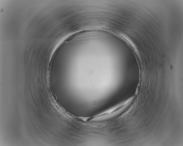 X0000062651340200601181800