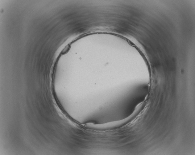 X0000062651341200601181800