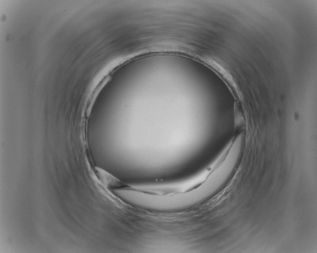 X0000062651342200601181800