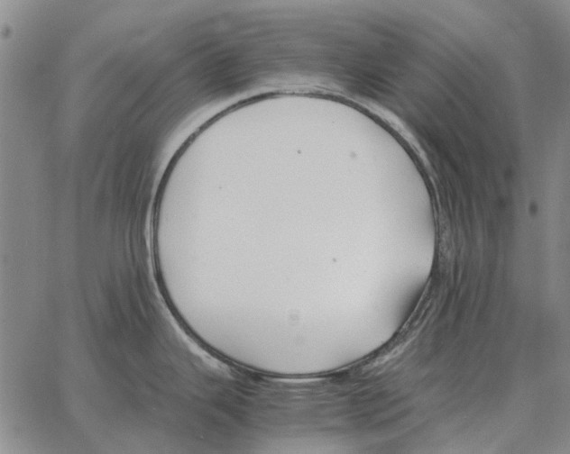 X0000062651343200601181800