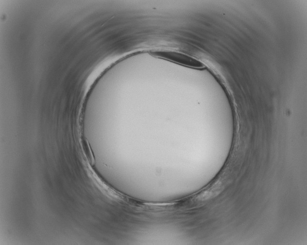 X0000062651344200601181800