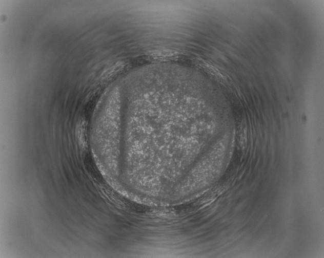 X0000062651346200601181759