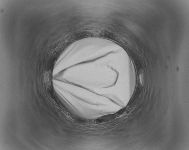 X0000062651347200601181759