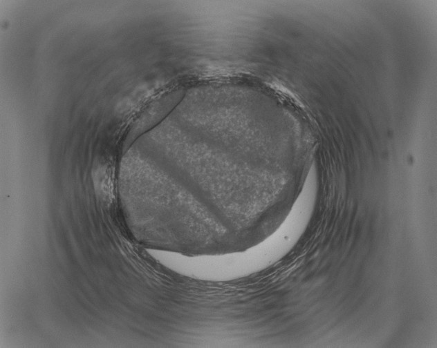 X0000062651348200601181759