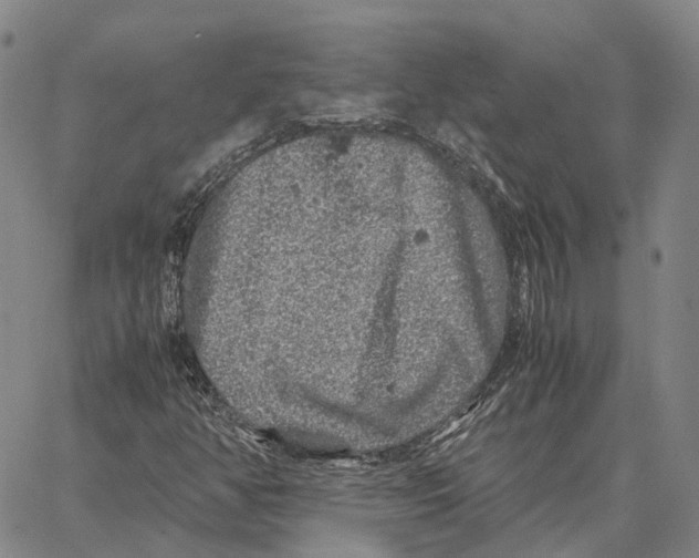 X0000062651350200601181759