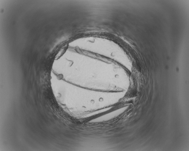 X0000062651351200601181759