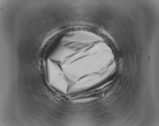 X0000062651352200601181759