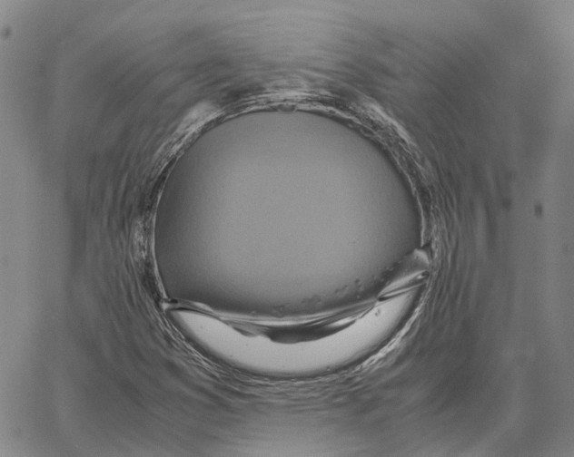 X0000062651353200601181759