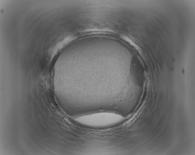 X0000062651357200601181759