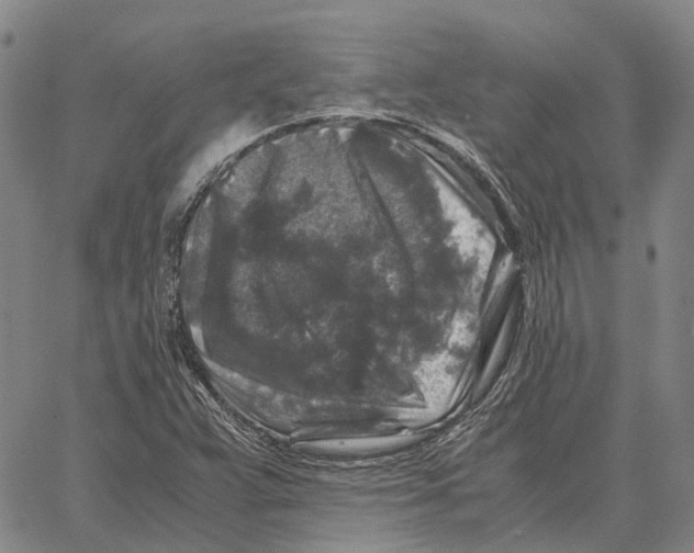 X0000062651359200601181759