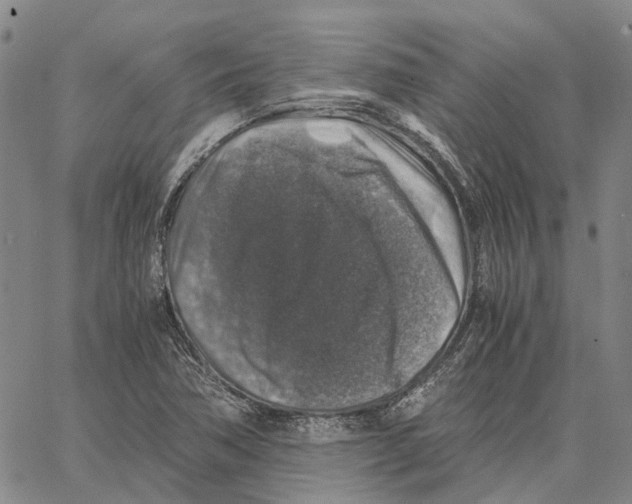 X0000062651362200601181759