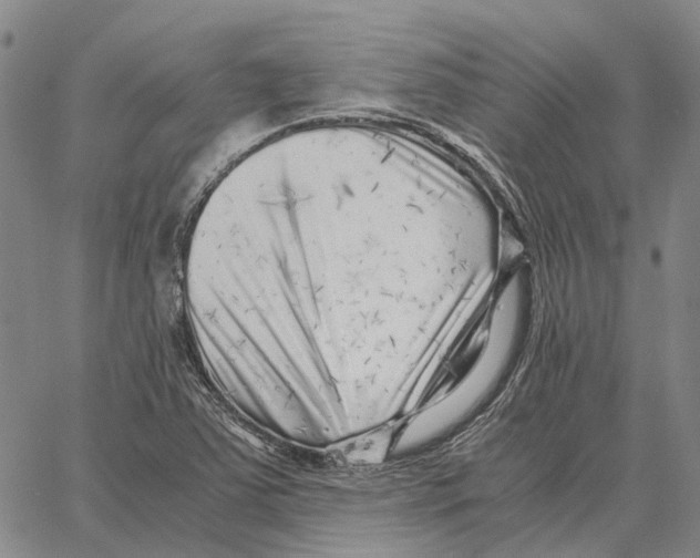 X0000062651363200601181759