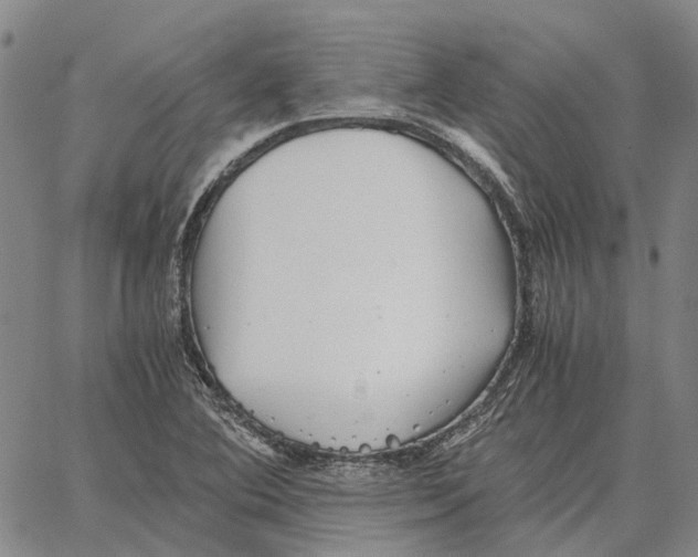 X0000062651364200601181759