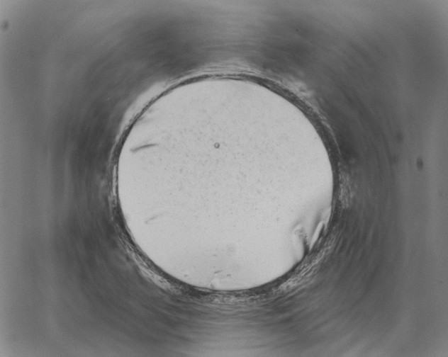 X0000062651366200601181759