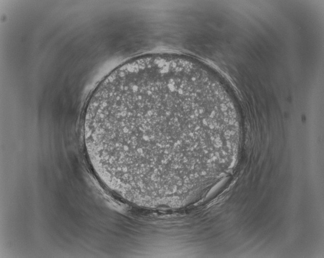 X0000062651367200601181759