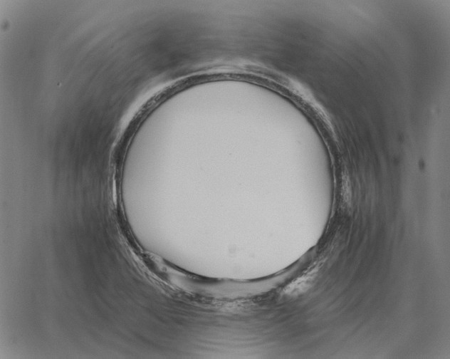 X0000062651368200601181759