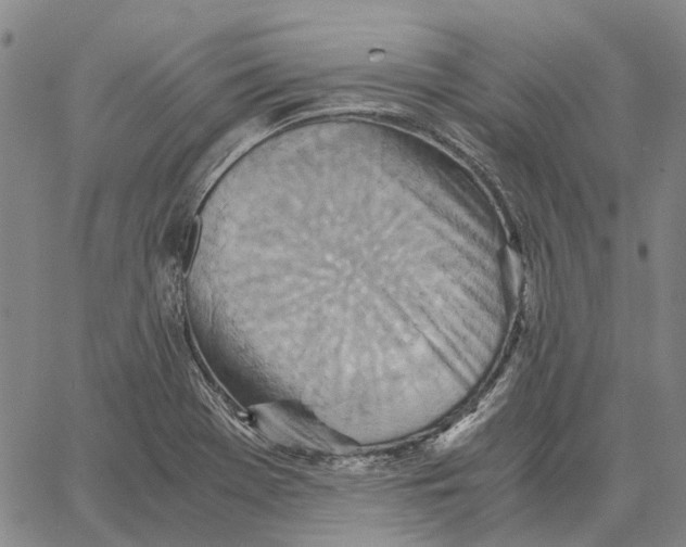 X0000062651369200601181759