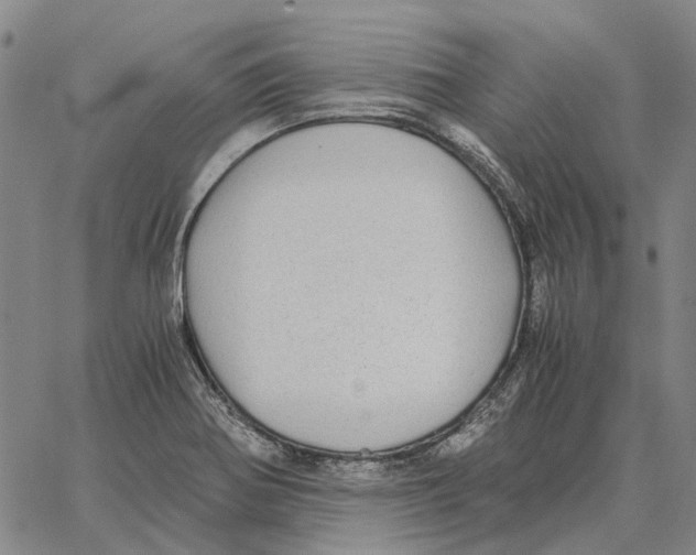 X0000062651370200601181759