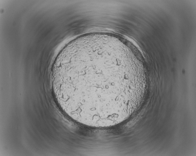 X0000062651371200601181759