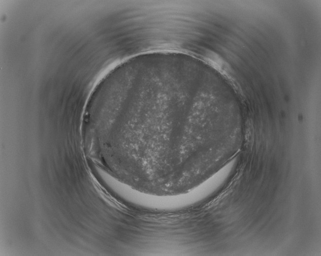 X0000062651372200601181759