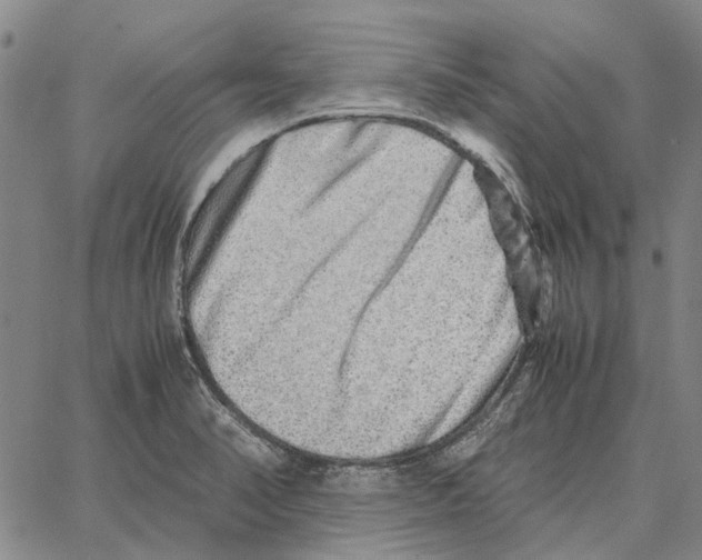 X0000062651374200601181759