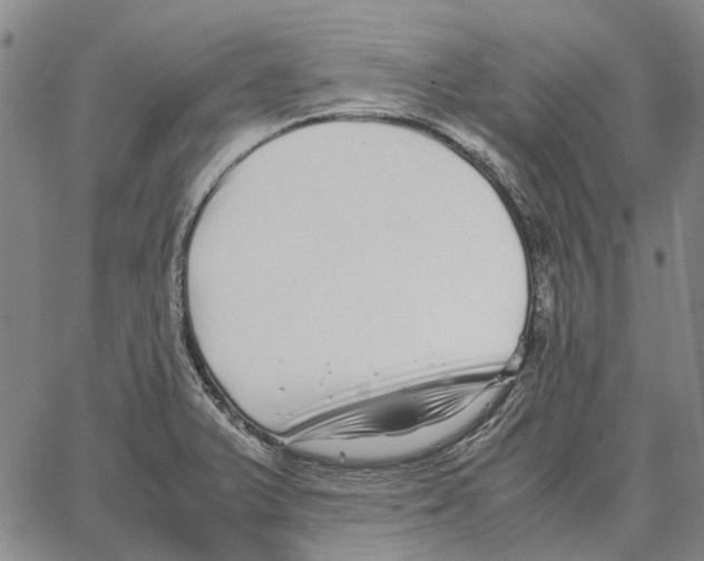 X0000062651375200601181759