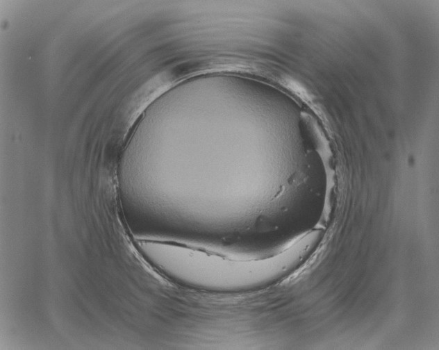 X0000062651377200601181759