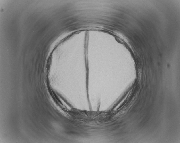 X0000062651379200601181759