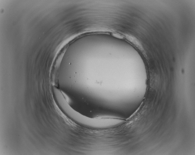 X0000062651380200601181759