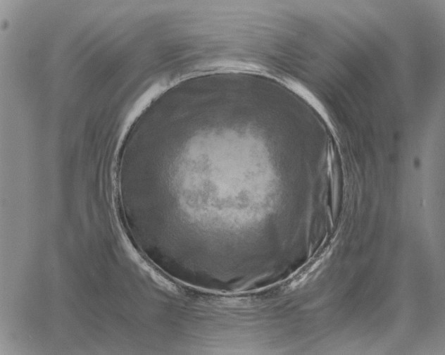 X0000062651381200601181759