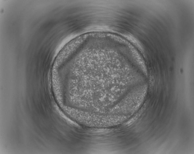 X0000062651382200601181759