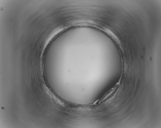 X0000062651384200601181759