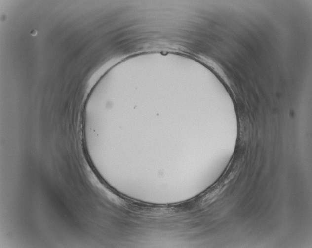 X0000062651387200601181759