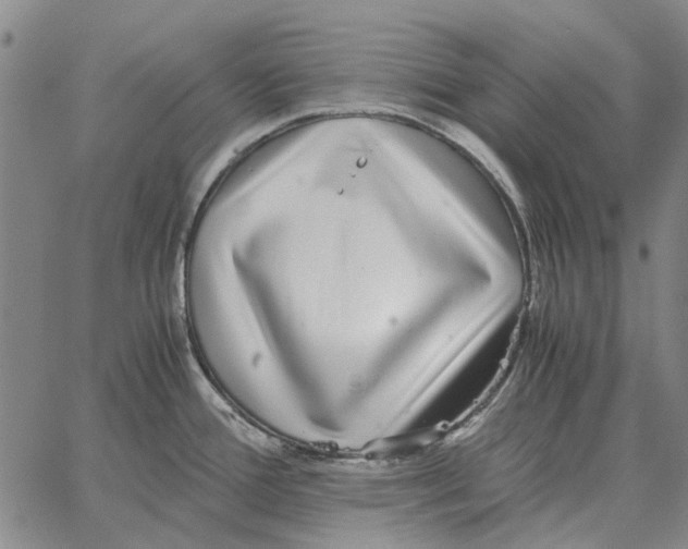 X0000062651388200601181759