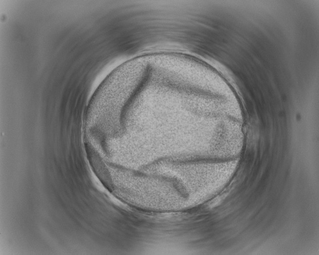 X0000062651390200601181759