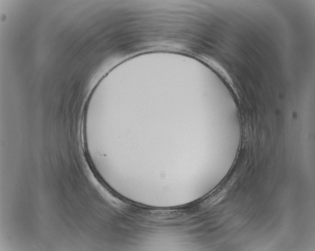 X0000062651391200601181759