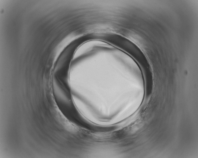 X0000062651392200601181759