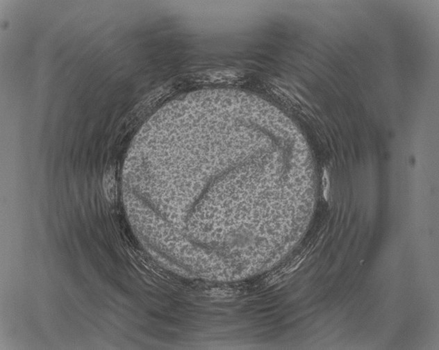 X0000062651395200601181758