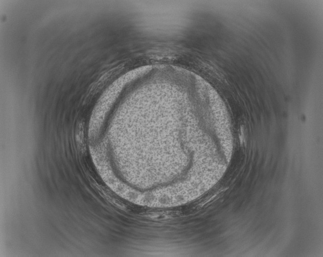 X0000062651396200601181758