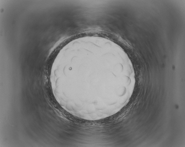 X0000062651400200601181758