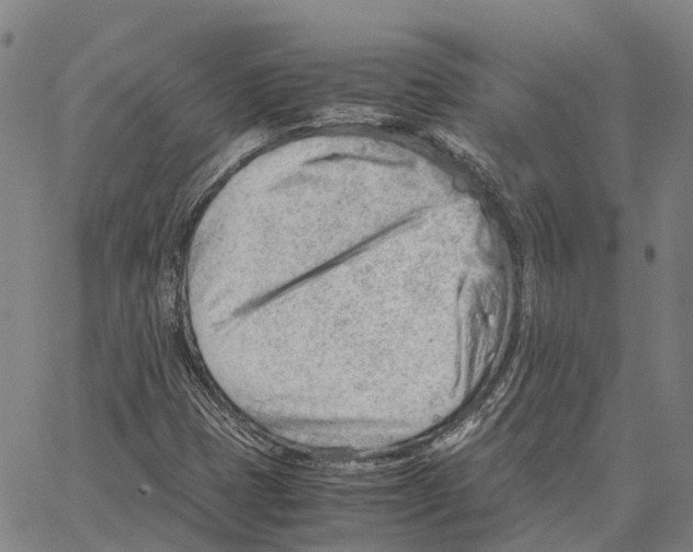 X0000062651401200601181758