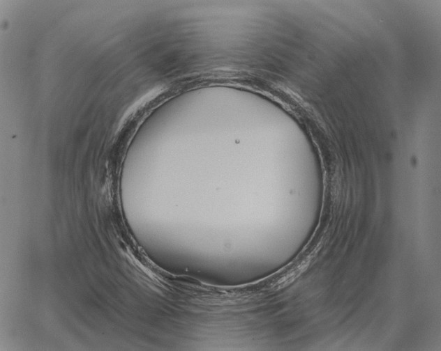 X0000062651402200601181758