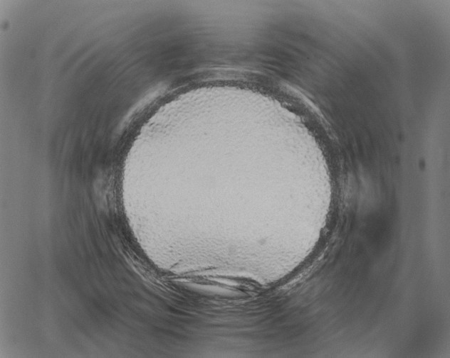 X0000062651403200601181758